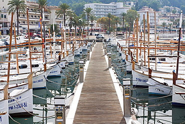 Llauets, typical Balearic Islands fishing boats in the port of Port de Soller, Majorca, Balearic Islands, Spain, Europe