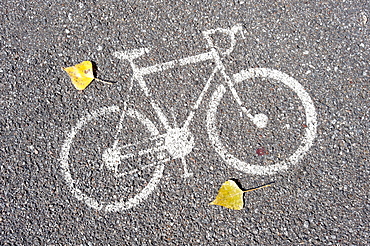 Bicycle pictogram on a bicycle track