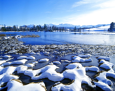 Schwaltenweiher lake, snow, Seeg, Allgaeu, Bavarian Swabia, Bavaria, Germany, Europe