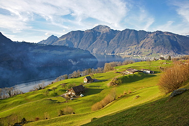 Farms on the Weg der Schweiz trail near Morschach on Lake Urnersee, Canton Schwyz, Switzerland, Europe