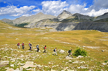 Hiking, trekking group on an alpine meadow near Lacs de Lignin, Haute Verdon Mountains, Alpes-de-Haute-Provence, France, Europe