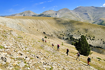 Hiking, trekking group in the Haute Verdon mountains, Alpes-de-Haute-Provence, France, Europe