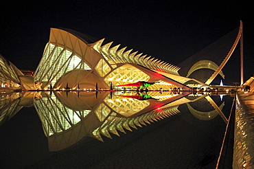 Museo de las Ciencias Principe Filipe in the Ciudad de las Artes y las Ciencias, City of Arts and Sciences, designed by Spanish architect Santiago Calatrava, Valencia, Comunidad Valenciana, Spain, Europe