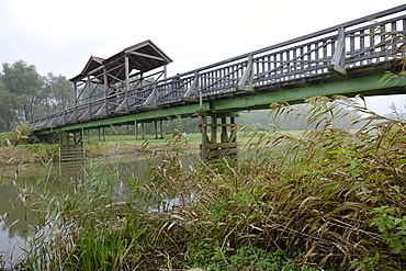 Escape route across the Bruecke von Andau bridge, used after the Hungarian uprising, reconstruction, the original bridge was blown up in 1956, Burgenland region, Austria, Europe