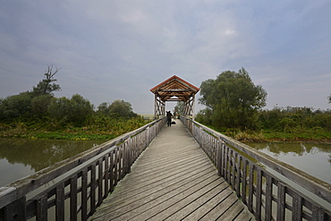 Escape route across the Bruecke von Andau bridge, used after the Hungarian uprising, reconstruction, the original bridge was blown up in 1956, Burgenland region, Austria, Europe