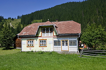 Traditionally painted house, Ciocanesti, Suceava region, Romania, Europe