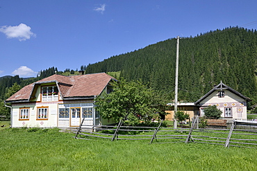 Traditionally painted houses, Ciocanesti, Suceava region, Romania, Europe