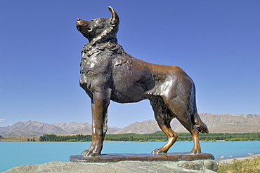 Bronze statue, Collie Dog, by Innes Elliott, donated in 1968 by the farmers of the Mackenzie County, Lake Tekapo at Fairlie, Highway 79, South Island, New Zealand