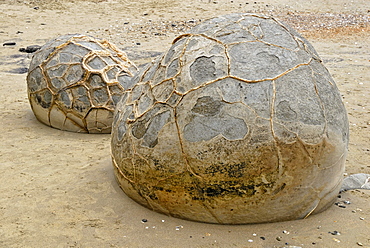 Rock balls on the beach at low tide, geological formation of the Moeraki Boulders, Moeraki, East Coast, South Island, New Zealand