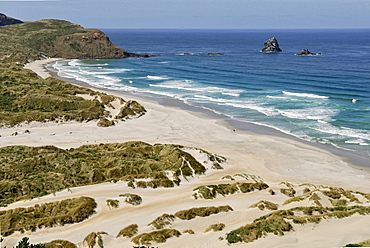 Sandfly Bay Wildlife Refuge, Otago Peninsula, Dunedin, South Island, New Zealand