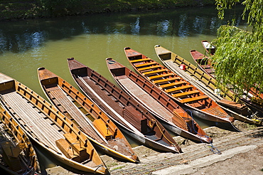 Punts at the Neckar river, Tuebingen, Swabian Alb, Baden-Wuerttemberg, Germany, Europe