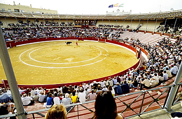 Bullfight in the arena of Sanlucar de Barrameda as seen from the grandstand, Costa de la Luz, Andalusia, Spain, Europe