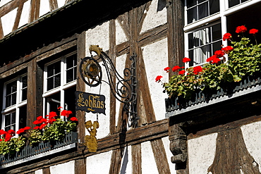 Half-timbered building detail, windows and flowers, Strasbourg, Alsace, France, Europe