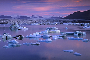 Midsummer at the Joekulsarlon glacier lagoon, South Iceland, Iceland, Europe