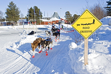 Sign along the trail in Karasjok, Finnmarkslopet, northernmost sled dog race in the world, Karasjok, Finnmark, Lapland, Norway, Europe