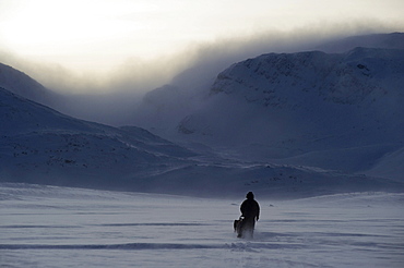 Sled dog team in front of the mountains of Finnmark, Lapland, Norway, Europe