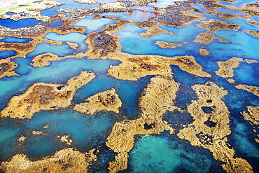 Multicolored labyrinth between rocks in the water from different minerals and underground springs, off the south coast of Iceland, Europe