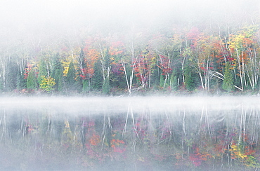 Early morning mist and autumn coloured trees on an island in Lac Bouchard Lake, La Mauricie National Park, Québec, Eastern Canada