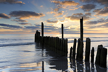 Groynes on the Baltic coast, Ruegen island, Mecklenburg-Western Pomerania, Germany, Europe