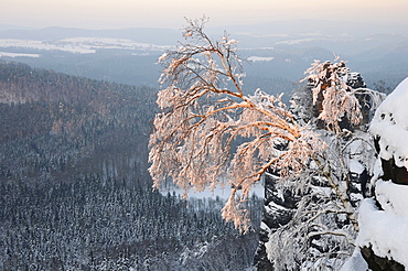 View from the lookout at Schrammsteinaussicht in winter, Elbe Sandstone Mountains, Saxon Switzerland, Saxony, Germany, Europe