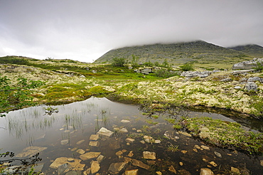 Fjell landscape near Bjornhollia in the Rondane National Park, Norway, Scandinavia, Europe