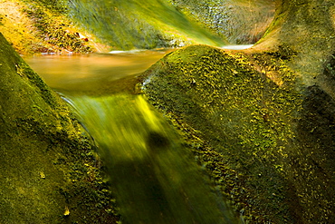 Flowing mountain stream