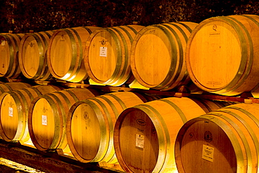 Wine barrels, province of Bolzano-Bozen, Italy, Europe