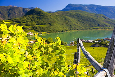 Landscape on Lake Kaltern, province of Bolzano-Bozen, Italy, Europe