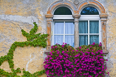 Climbers on a house wall, Kaltern an der Weinstrasse, South Tyrol, Italy, Europe