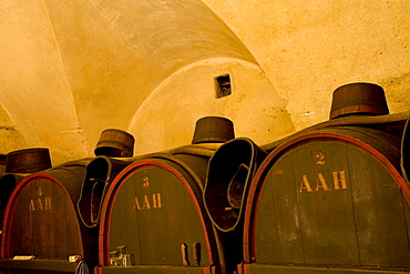 Wine barrels in a wine-cellar