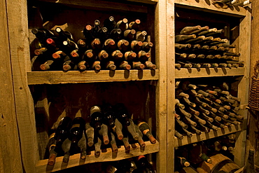 Old wine collection, wine cellar