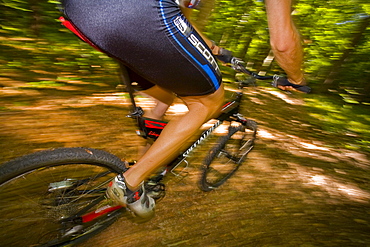 Cyclist, mountain biker riding bike in the woods