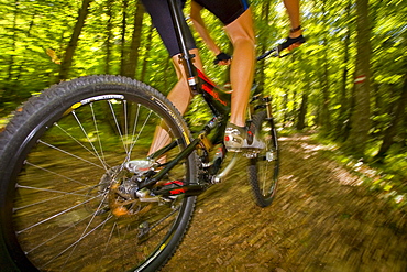 Cyclist, mountain biker riding bike in the woods