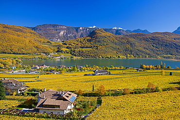 Autumn landscape around Lake Kaltern or Kalterer See, South Tyrol, Italy, Europe