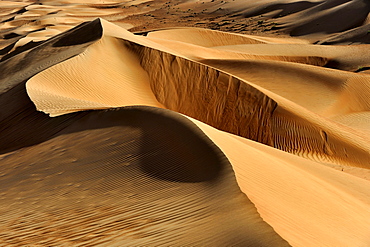 Finely structured dunes in the Wahiba Sands desert in Oman, Middle East