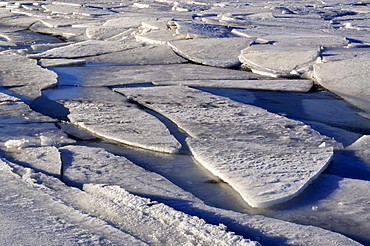 Ice floes on the Baltic Sea off Stein, Probstei, Ploen district, Schleswig-Holstein, Germany, Europe