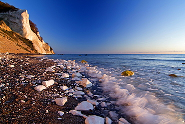 Moens Klint chalk cliffs at dawn, Moen island, Denmark, Europe