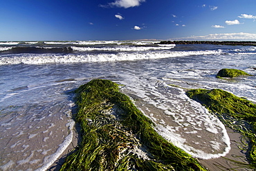 Beach at Ulvshale, Moen island, Denmark, Europe