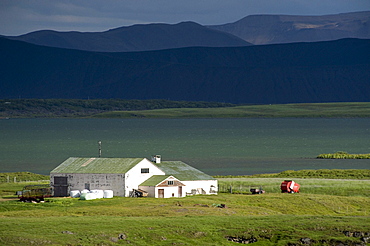 Farm, Myvatn, Iceland, Europe