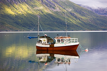 Gullesfjorden on Hinnoya Iinnasuolu, Vesteralen, Norway, Scandinavia, Europe