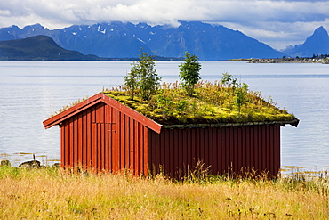 Sortland, island of Langoya, Vesteralen, Norway, Scandinavia, Europe