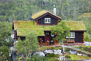 Norwegian cottage with a thatched roof, Norway, Scandinavia, Europe