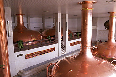 Copper boiler at the Budweiser brewery in Ceske Budejovice, Budweis, Budvar, Bohemia, Czech Republic, Europe