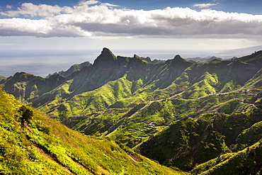 In the Las Montanas de Anaga, Macizo de Anaga Mountains, Tenerife, Spain, Europe