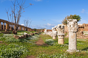 Ancient Roman bath in Cherchell, Algeria, Africa