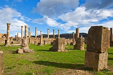 The Roman ruins of Djemila, Unesco World Heritage Site, Kabylie, Algeria, Africa