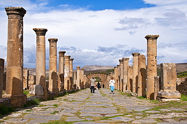 The Roman ruins of Djemila, Unesco World Heritage Site, Kabylie, Algeria, Africa