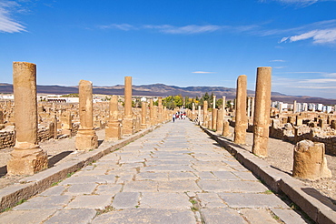 Roman ruins of Timgad, UNESCO World Heritage Site, Algeria, Africa