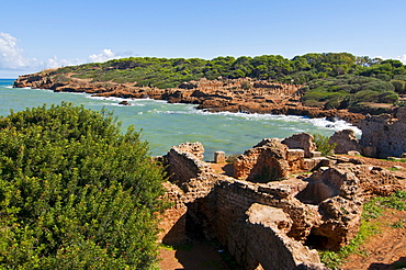 The Roman ruins of Tipasa, Unesco World Heritage Site, Algeria, Africa