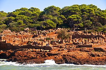 The Roman ruins of Tipasa, Unesco World Heritage Site, Algeria, Africa